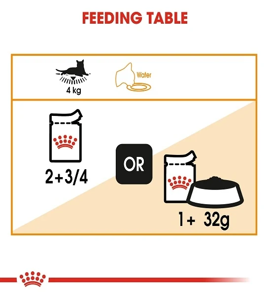 Royal Canin Hair & Skin In Jelly Adult Wet Cat Food
