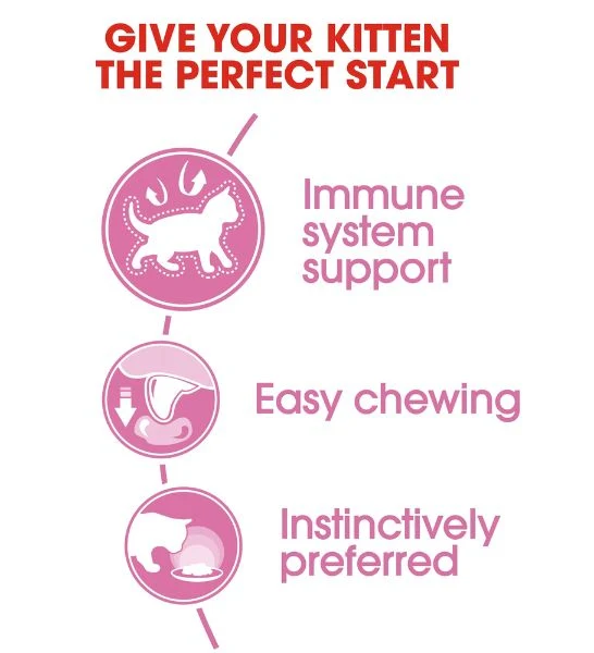 Royal Canin Kitten Instinctive in Jelly Wet Food