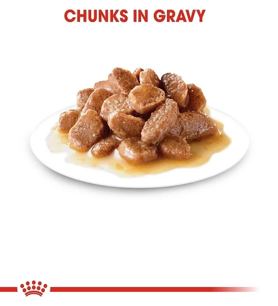 Royal Canin Digest Sensitive Chunks In Gravy Adult Wet Cat Food 85G