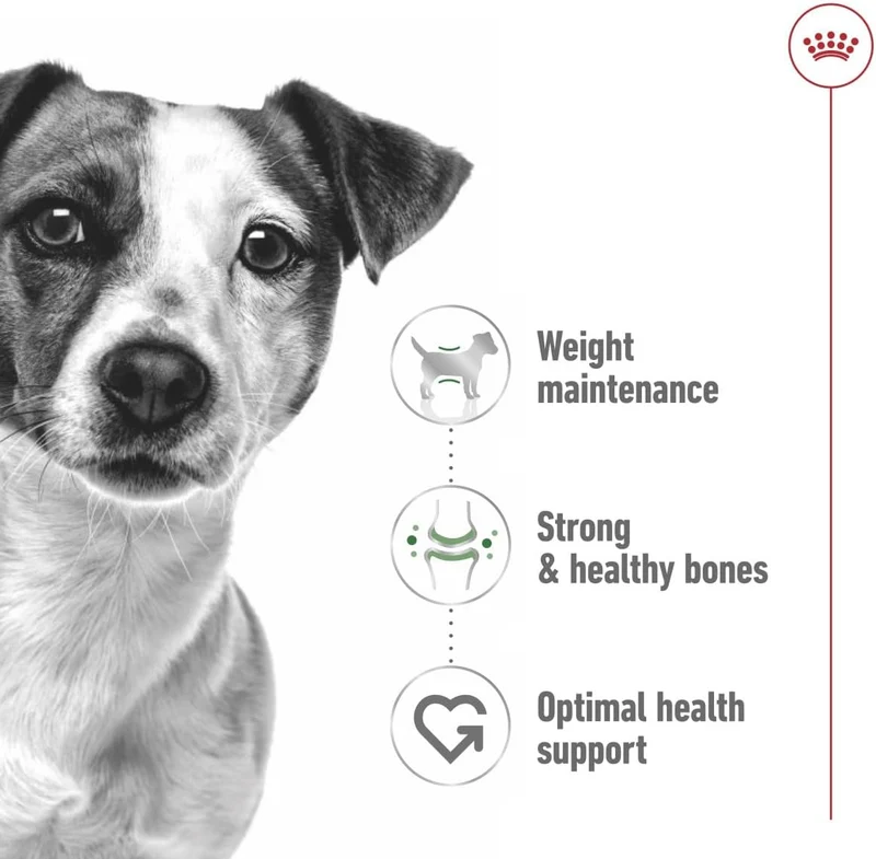 Royal Canin Mini Adult In Gravy-Salsa Wet Dog Food 85G