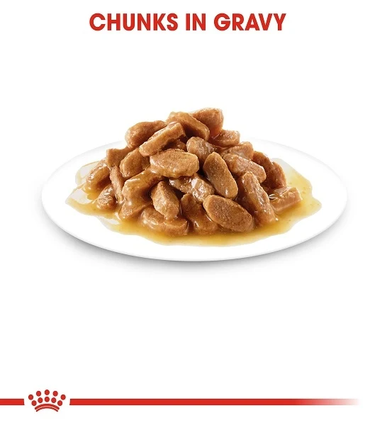 Royal Canin Medium Puppy In Gravy Wet Food