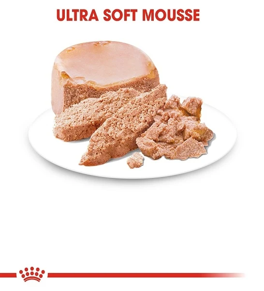 Royal Canin Starter Mousse Puppy & Mother Dog Wet Food 195G
