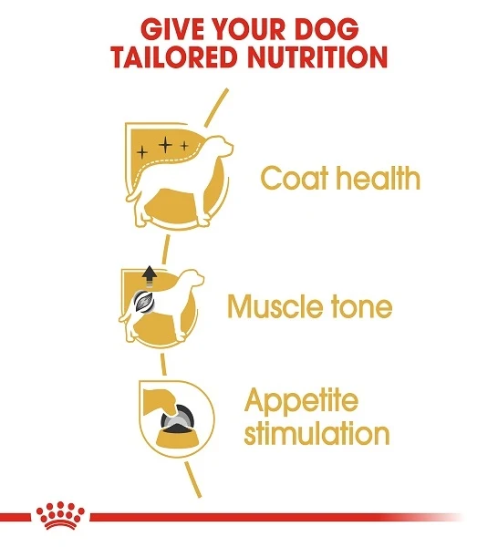 Royal Canin Poodle Adult Wet Dog Food 85G