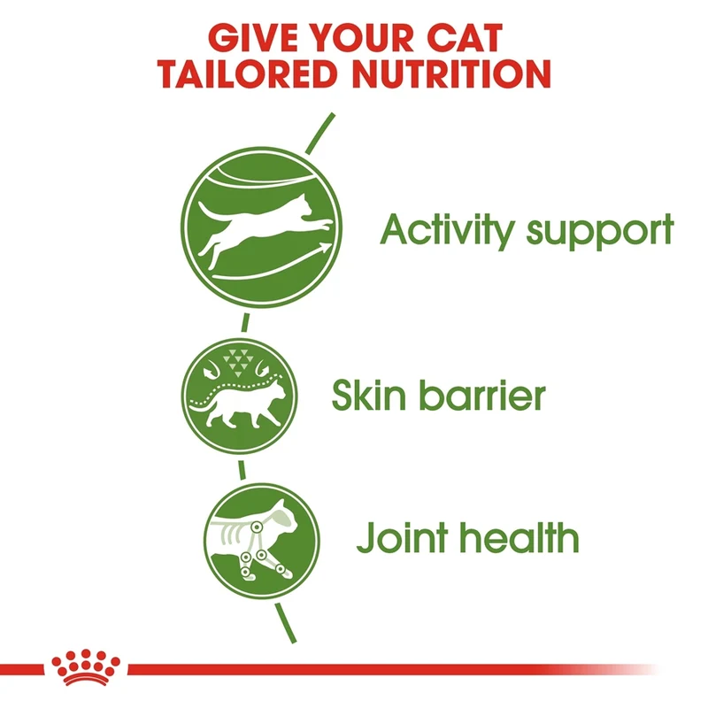 Royal Canin Active Life Outdoor Adult Dry Cat Food 2KG