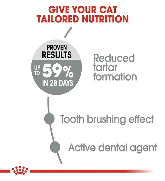 Royal Canin Dental Care Adult Dry Cat Food 1.5KG