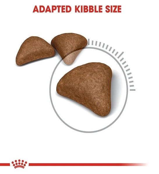 Royal Canin Hairball Care Adult Dry Cat Food