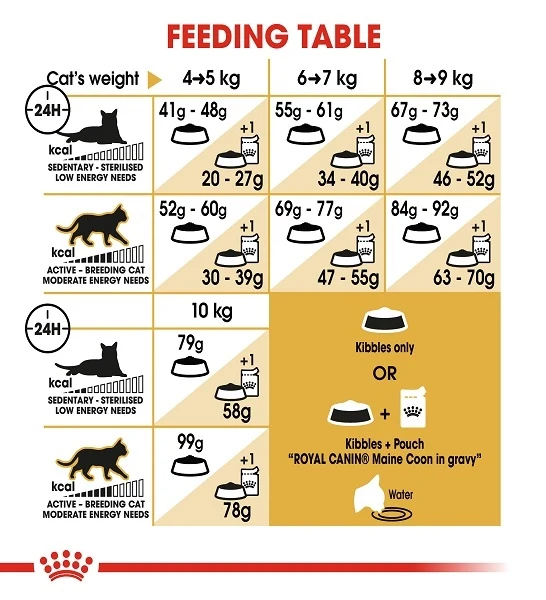 Royal Canin Maine Coon Adult Dry Cat Food 2KG
