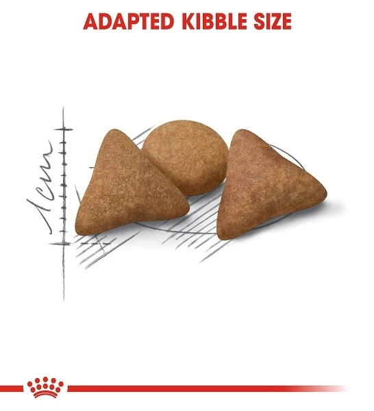 Royal Canin Indoor Appetite Control Adult Dry Cat Food 2KG