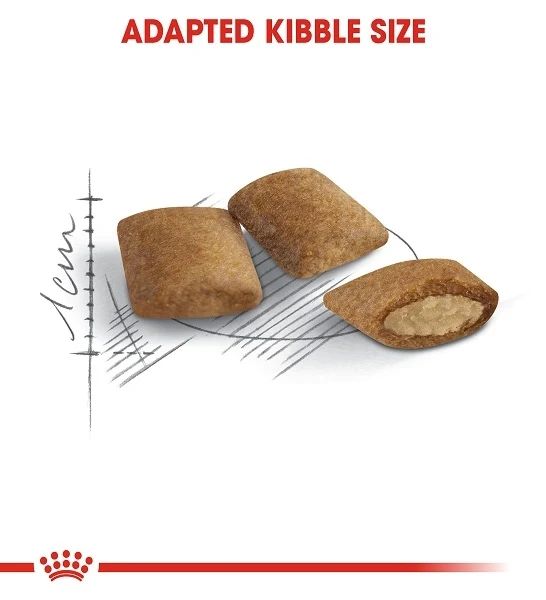Royal Canin Ageing 12+ Dry Cat Food 2KG