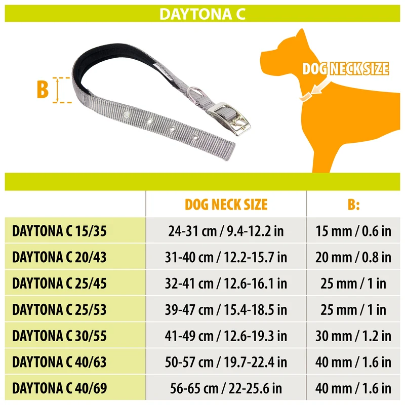 DAYTONA C