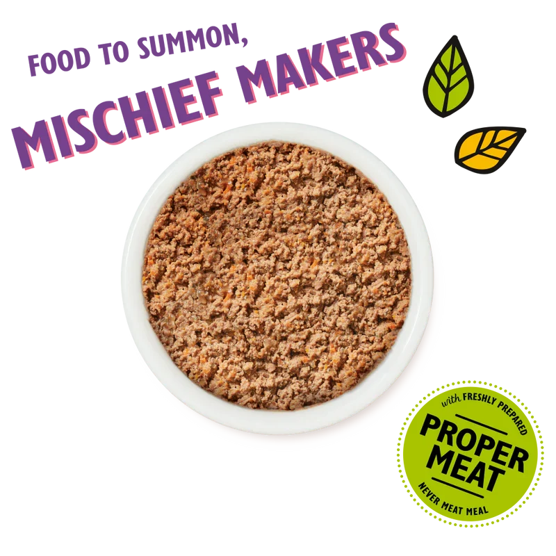 Lily’s Kitchen Halloween 2025 Chicken DInner With Pumpkin Wet Cat Food 85G