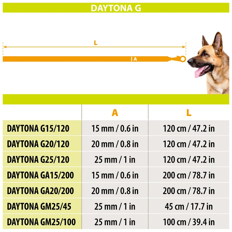 DAYTONA GM 25/100