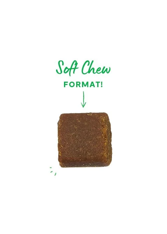 Open Farm Probiotic Chews Supplement for Dogs 360G