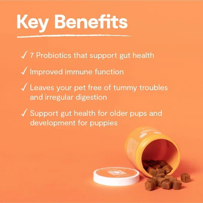 Open Farm Probiotic Chews Supplement for Dogs 360G