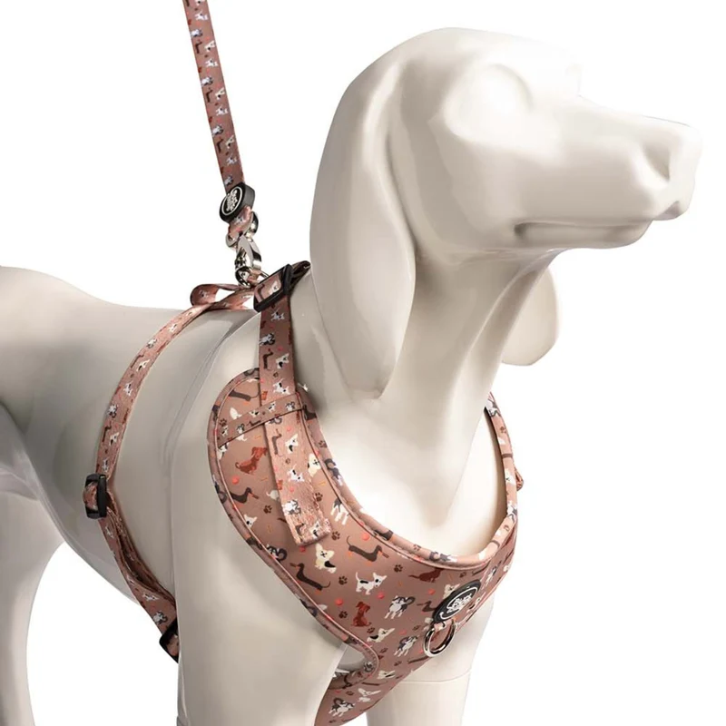Bud & Billy Dog Park Pals Dog Leash