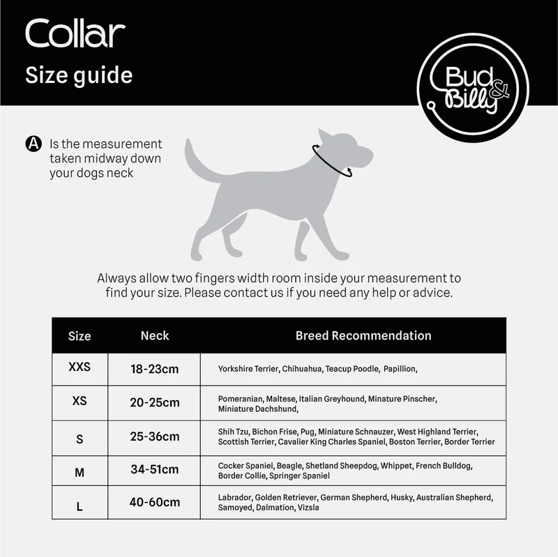 Bud & Billy Dog Park Pals Dog Collar