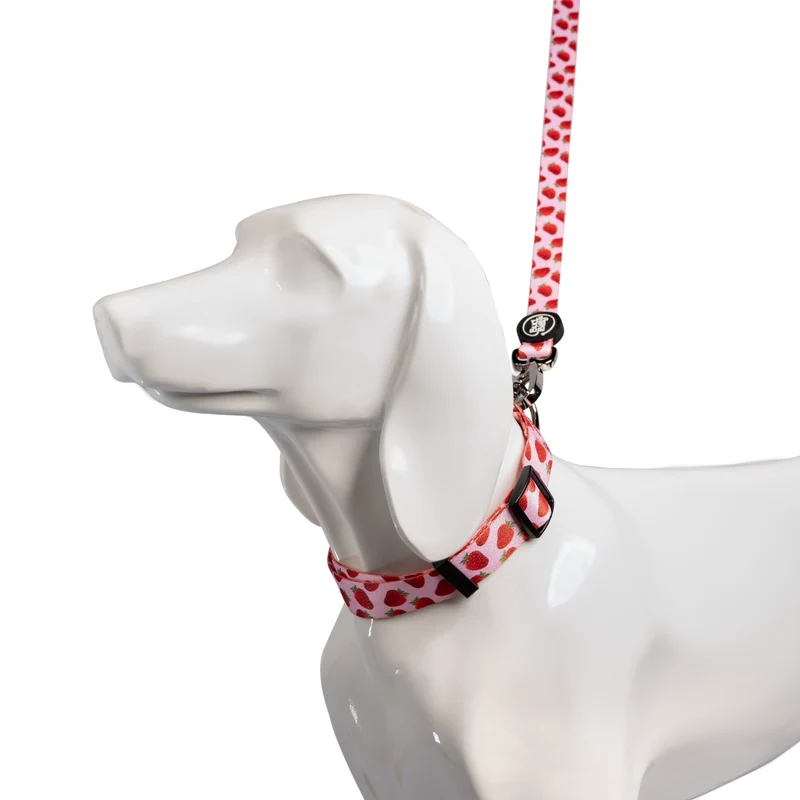 Bud & Billy Pink Berry Pop Dog Collar