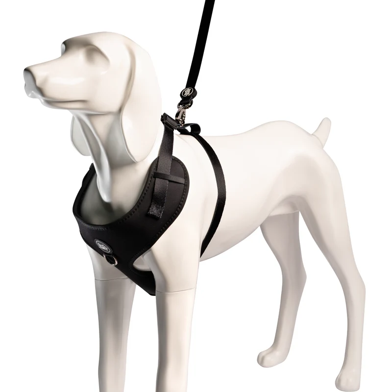 Bud & Billy Urban Black Dog Leash
