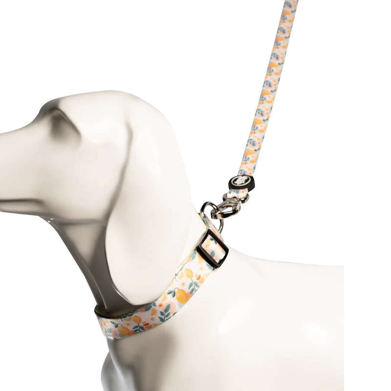 Bud & Billy Citrus Bloom Dog Collar