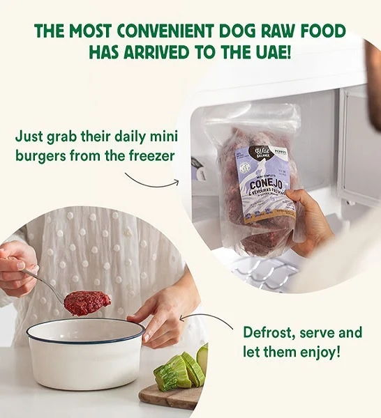 Wild Balance Complete BARF Beginners Menu Chicken Raw Food for Dogs 1KG