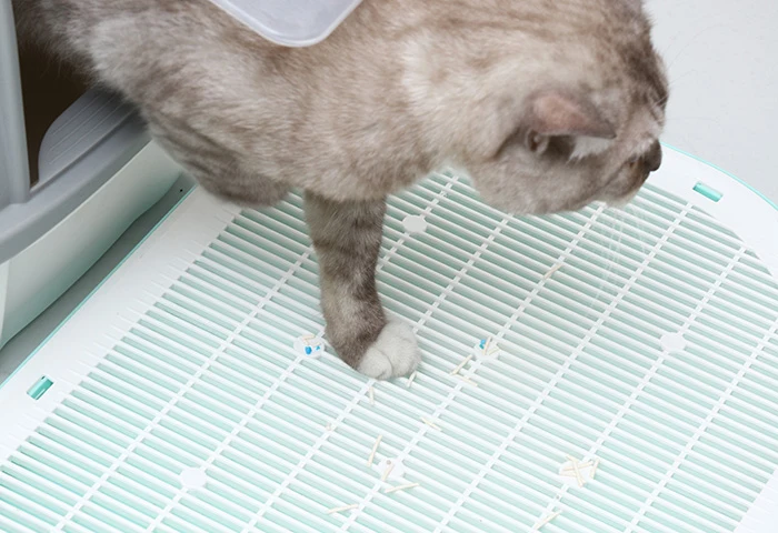 XDPC Double-Layered Litter Trapping Mat With Easy Dumping Design 50.5x29x40cm