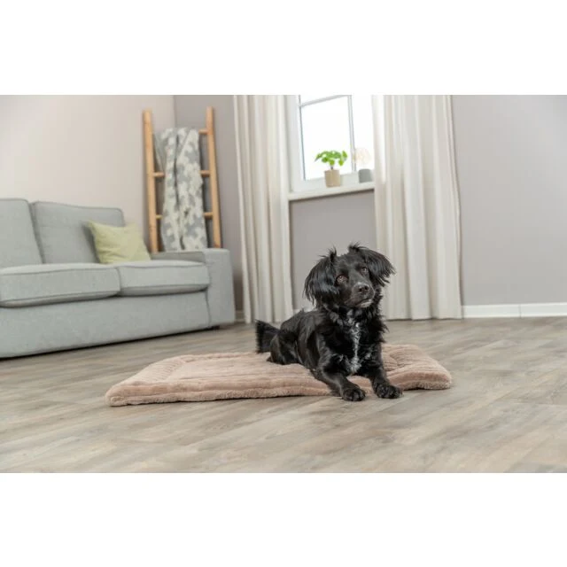 Trixie Lonni Corduroy Plush Lying Mat for Dogs