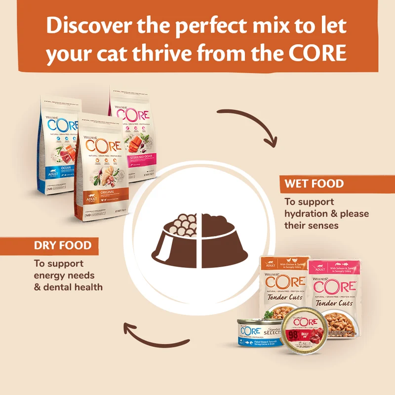 Wellness Core Signature Selects Chunky Boneless Chicken & Turkey In Sauce Adult Wet Cat Food 79G