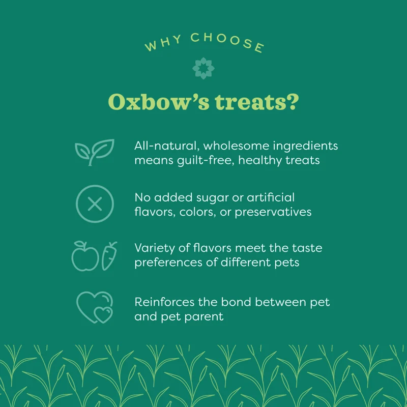 Oxbow Simple Rewards Freeze-Dried Banana Small Pet Treat 30G