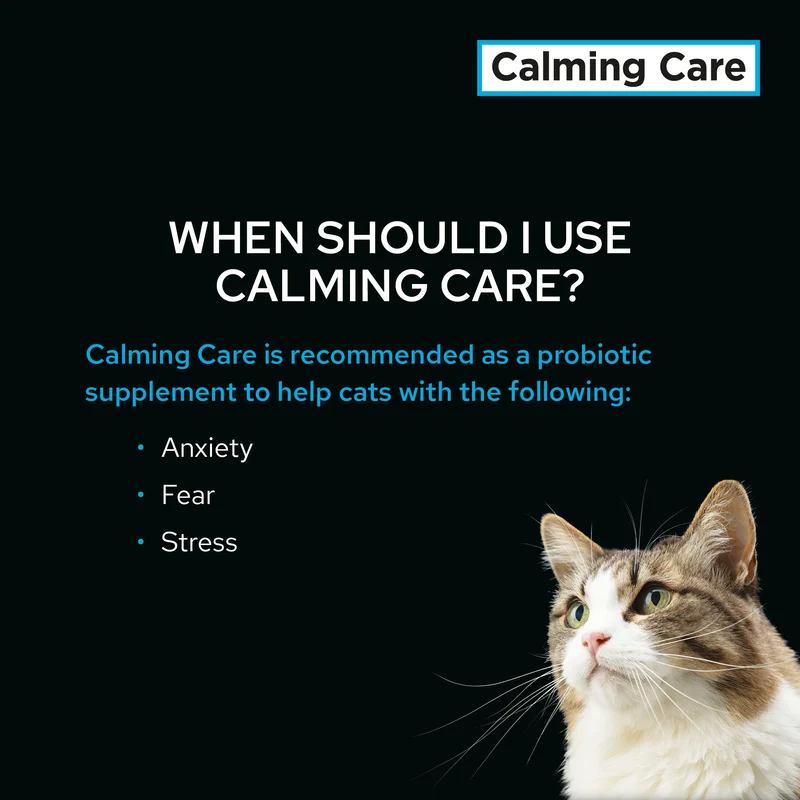 PURINA Pro Plan Veterinary Supplements Calming Care Cat Probiotic Anxiety Supplements 30X1G