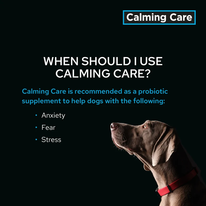 PURINA Pro Plan Veterinary Supplements Calming Care Dog Probiotic Anxiety Supplements 30X1G