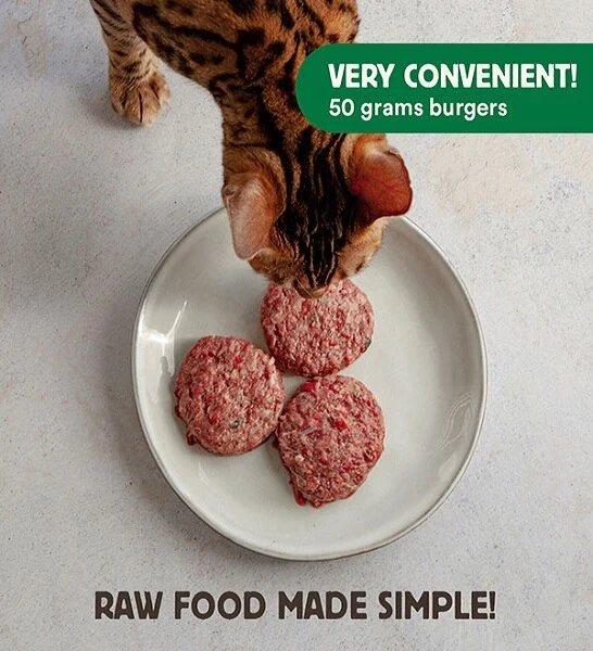 Wild Balance Complete BARF Menu Salmon Raw Food for Cats 1KG