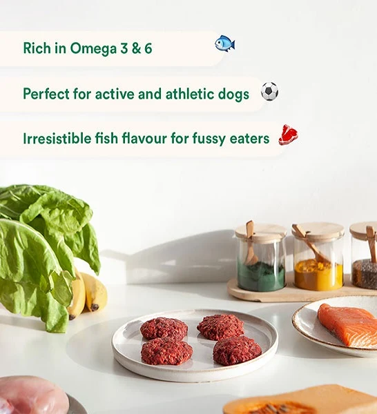 Wild Balance Complete BARF Menu Salmon Raw Food for Dogs 1KG