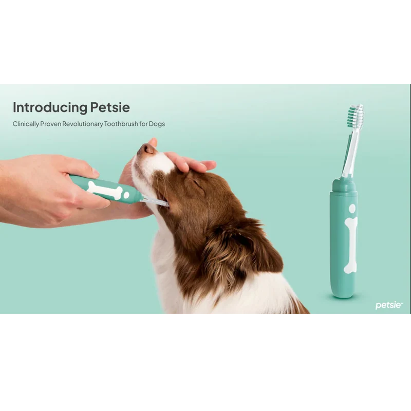 Petsie Revolutionary Electrolysis Dog Toothbrush Replacement Head