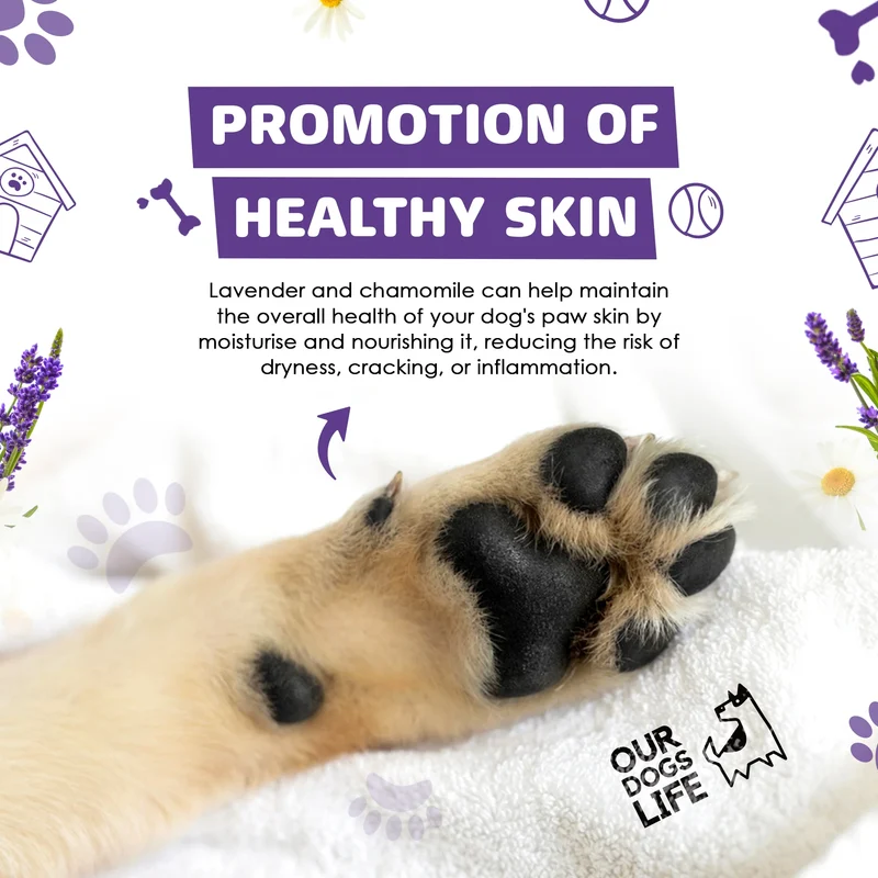 OurDogsLife Paw Cleaner & Towel for Dogs 200ml