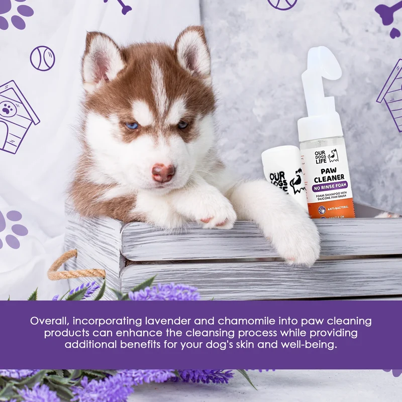 OurDogsLife Paw Cleaner & Towel for Dogs 200ml