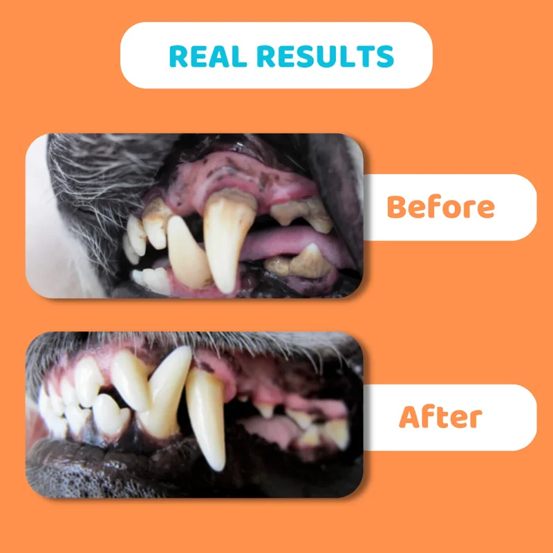 OurDogsLife Dental Wipes for Dogs 50pcs