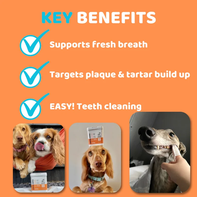OurDogsLife Dental Wipes for Dogs 50pcs