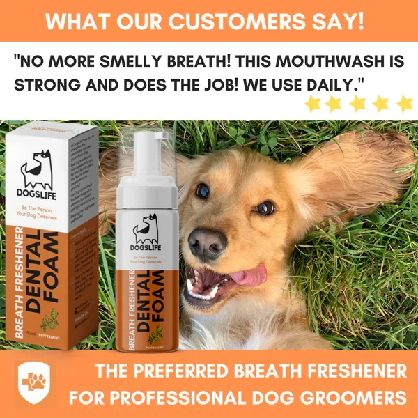 OurDogsLife Dental Foam for Dogs 150ml