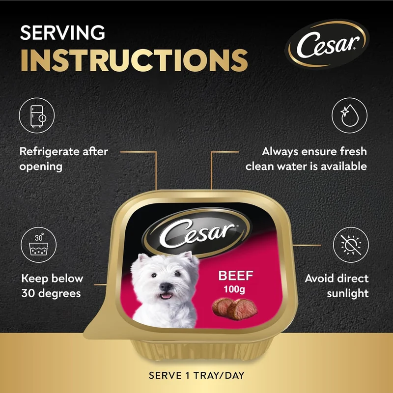 Cesar Beef 5+1 FREE Promo Pack Wet Dog Food 6X100G