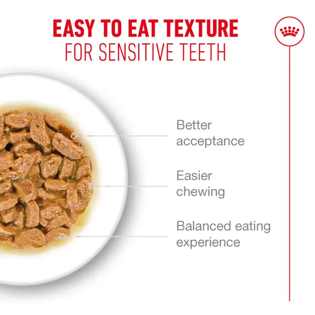 Royal Canin Ageing 11+ Chunks in Gravy Wet Cat Food - 85G