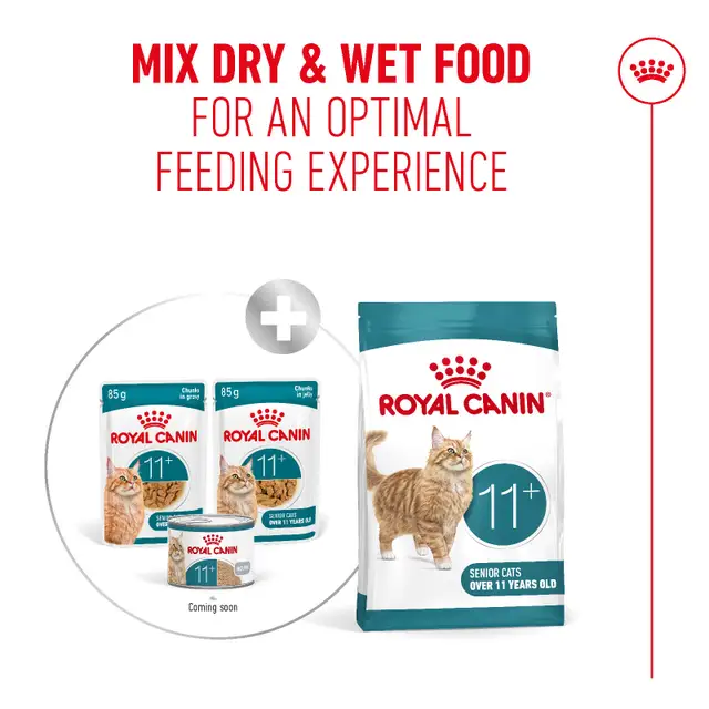 Royal Canin Ageing 11+ Chunks in Gravy Wet Cat Food - 85G