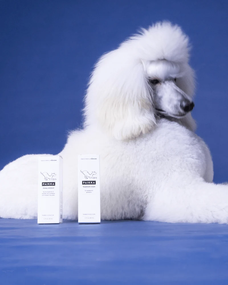 PAIKKA Treatment Cream for Dogs - 50ML