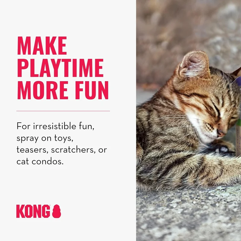 Kong Natural Catnip Spray 1Oz