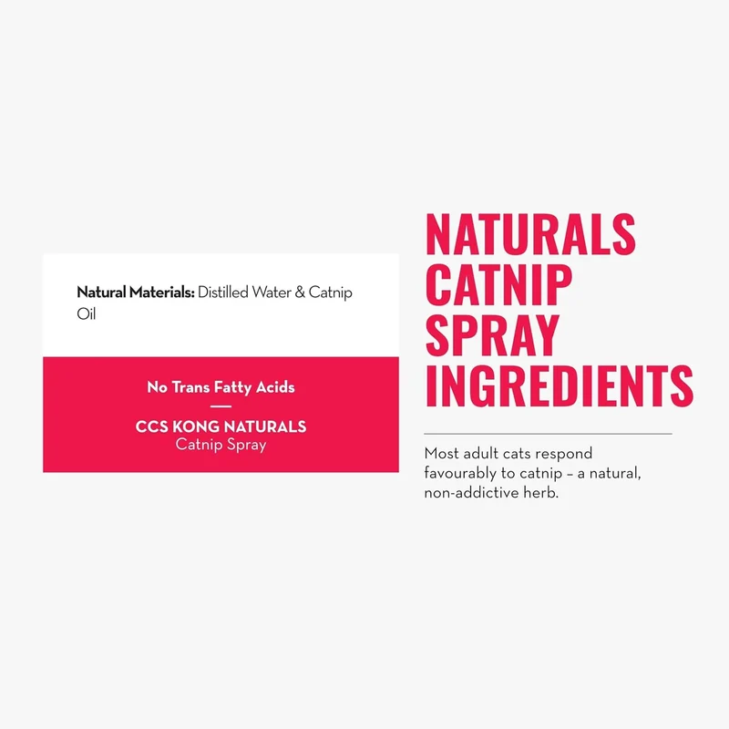 Kong Natural Catnip Spray 1Oz