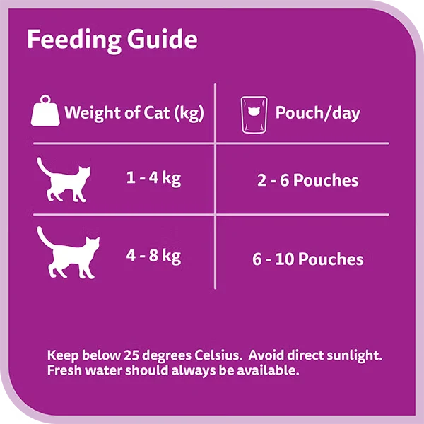 Whiskas 1+ Years Tasty Mix of the Sea Collection Adult Wet Cat Food in Jelly 12X70G