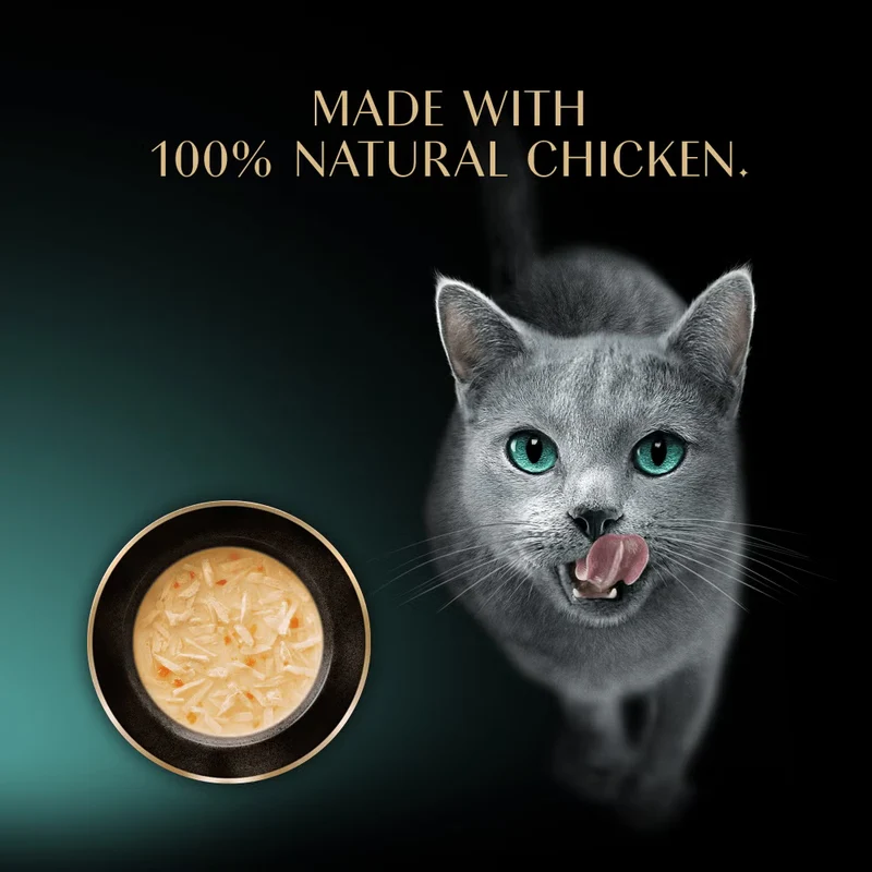 Sheba Soup with Chicken Adult Wet Cat Food In Pouch 4X40G