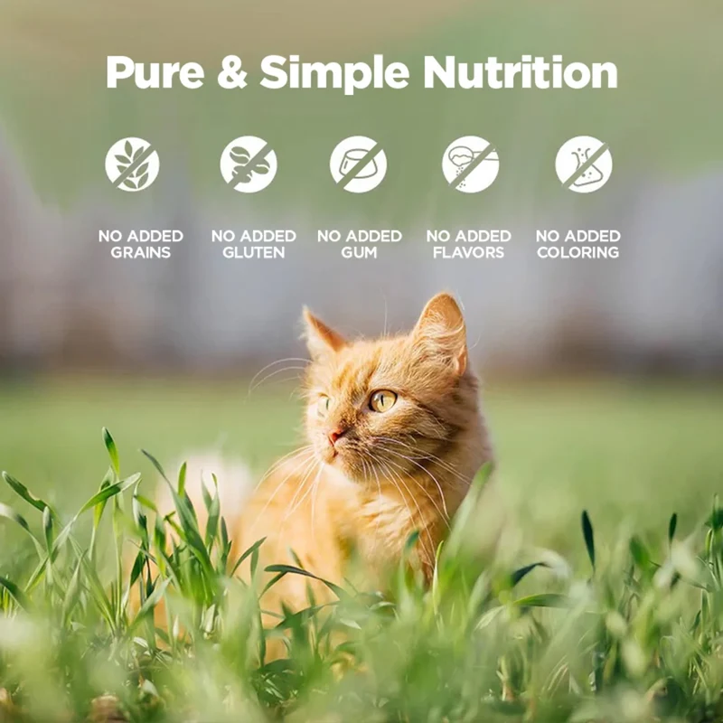 Zeal Grain Free Chicken & Salmon Recipe Wet Cat Food 90G