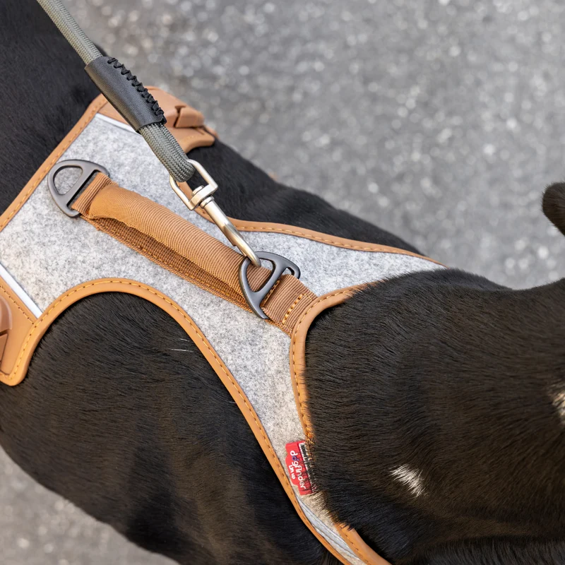 Curli The Alpine Belka Harness For Large Dogs