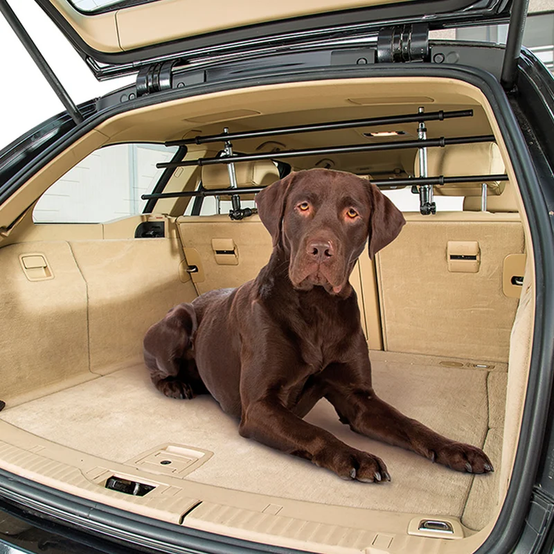 DOG CAR SECURITY