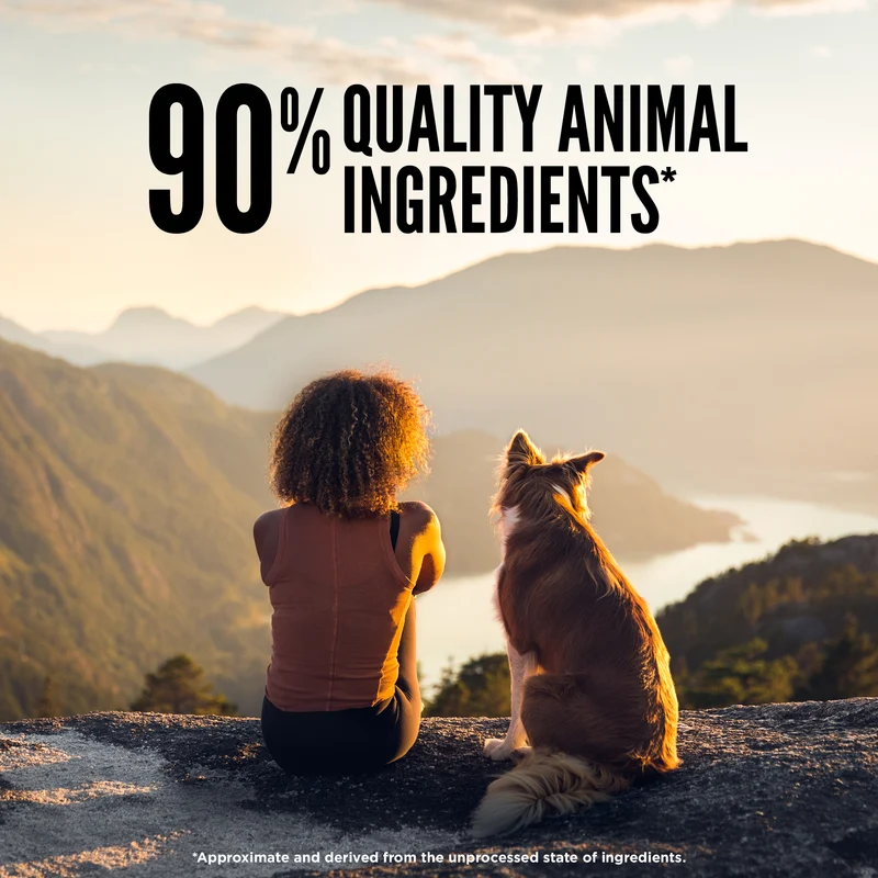 Orijen Medallion Original Freeze Dried Dog Food